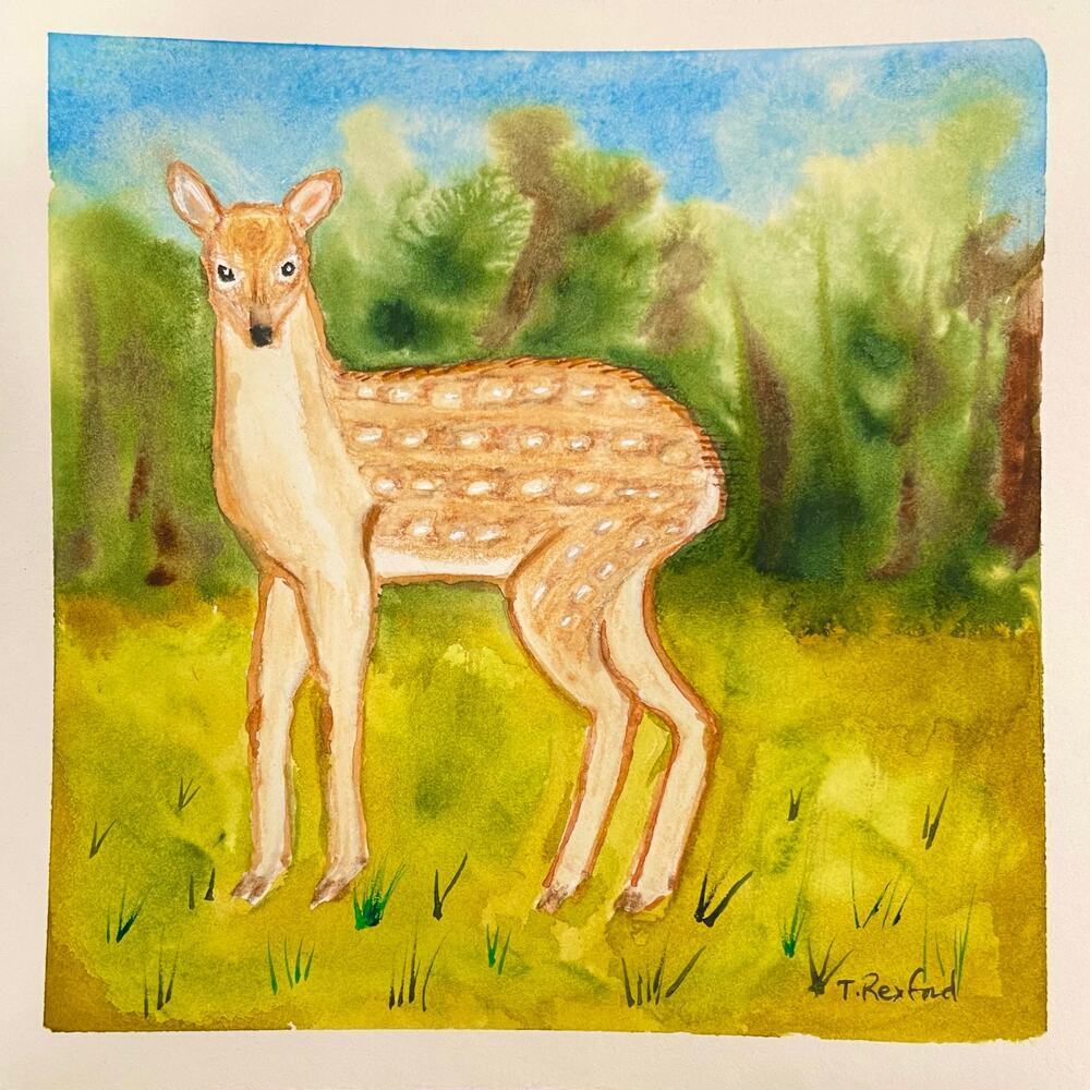 Hand painted watercolor original painting baby deer forest